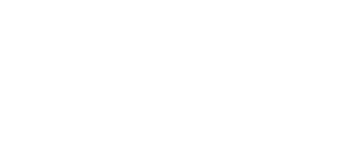 El Stray